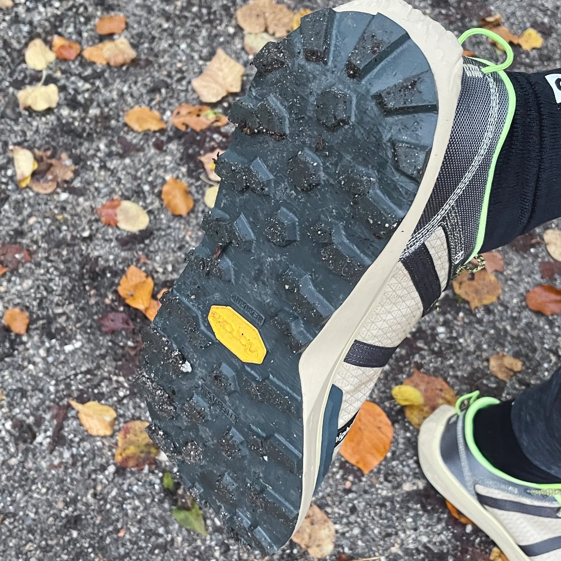 Get Lost | Original / Beige Grey