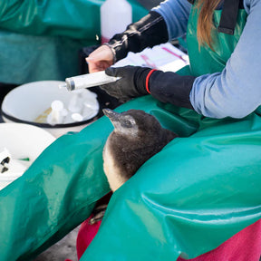 Active Crew Socks | Save the Penguins