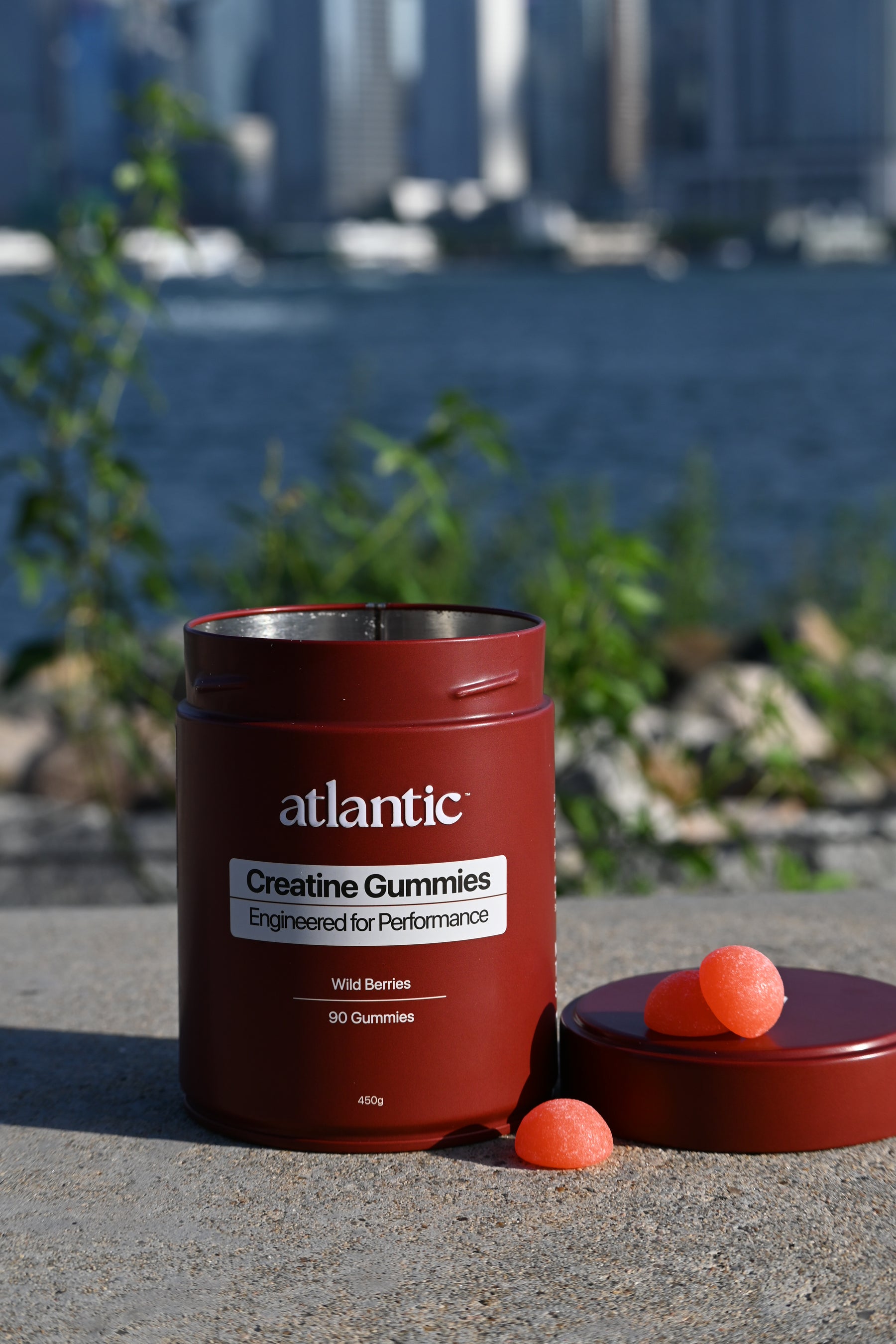 Creatine Gummies - Wild Berries (90 gummies, 450g)