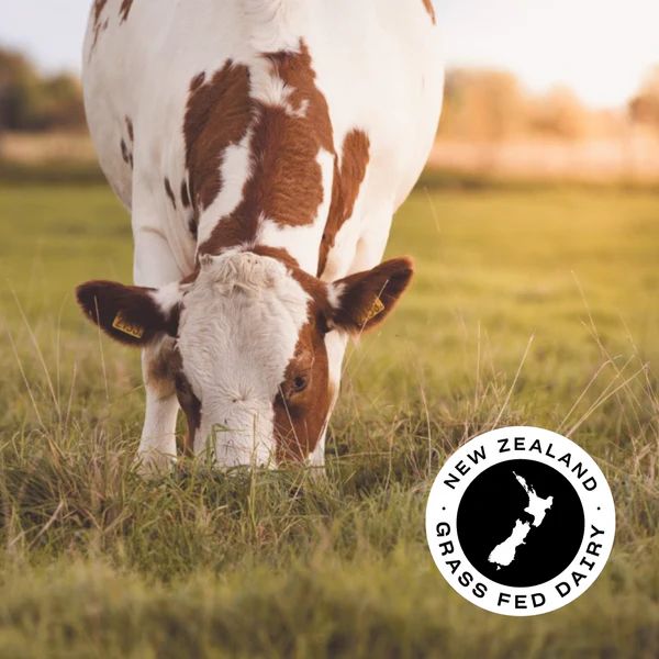 Grass Fed Whey Protein Isolate Powder -  Pouch - 1 kg | Vanilla