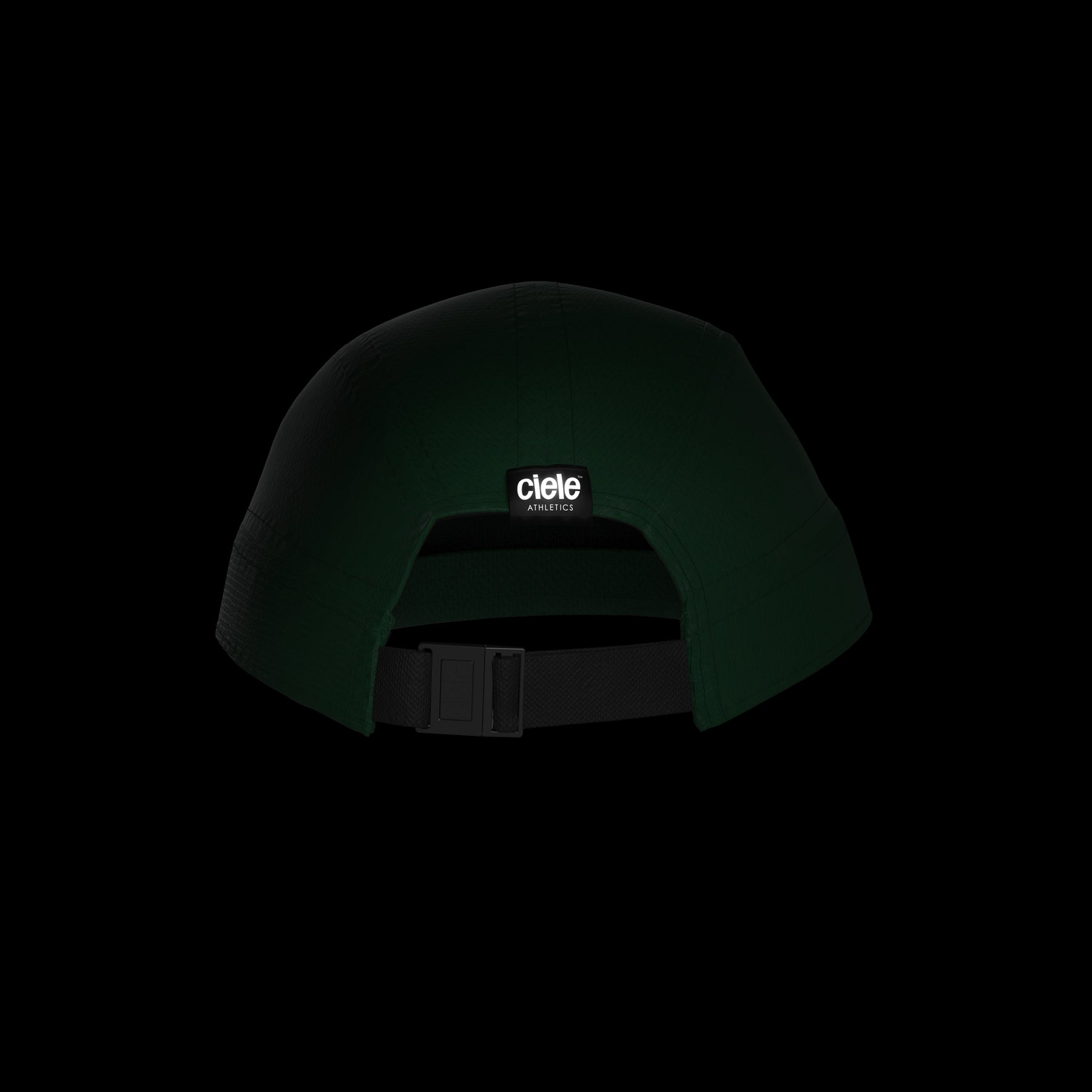 ALZCap - Standard Corp Small - Fortune