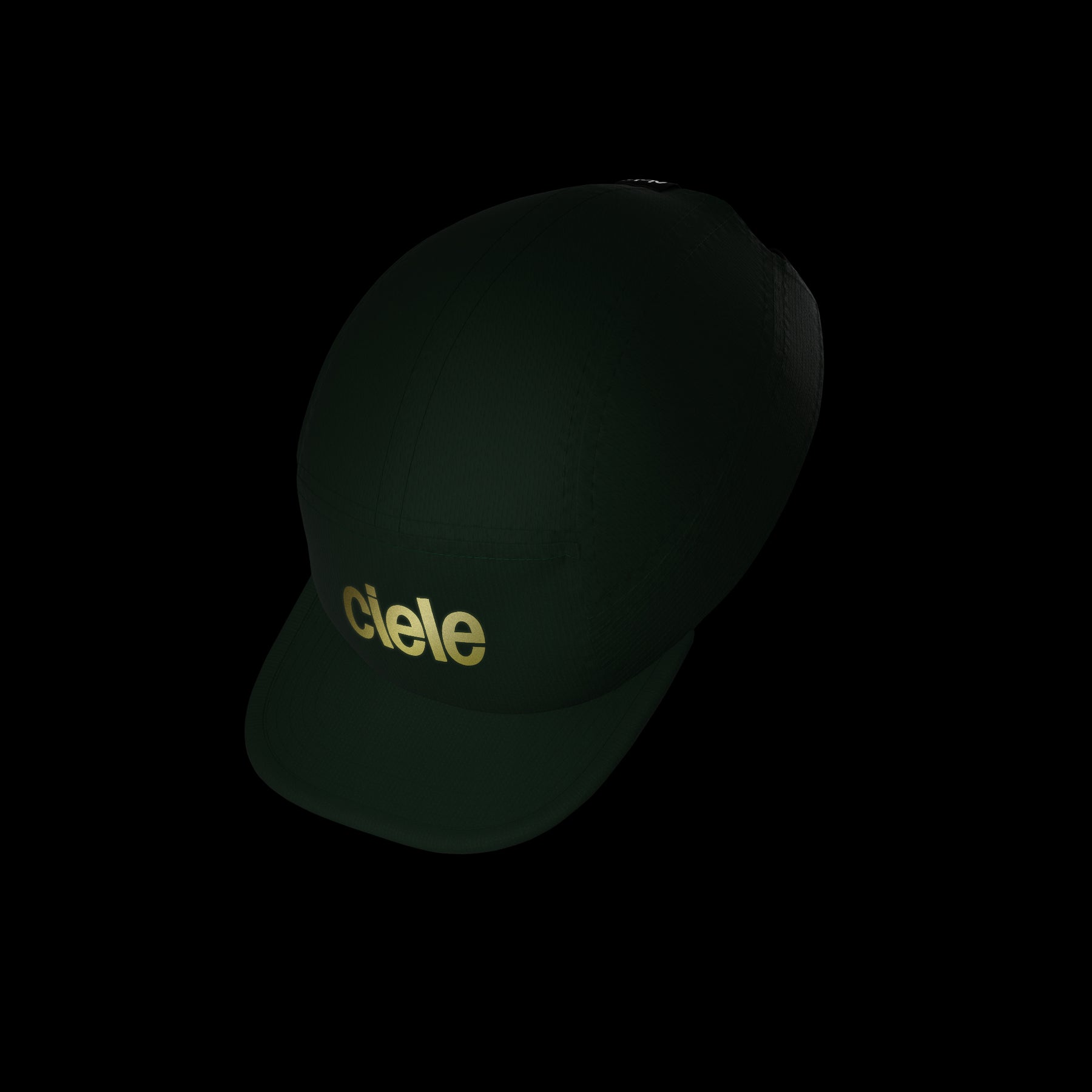 ALZCap - Standard Corp Small - Fortune