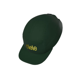 ALZCap - Standard Corp Small - Fortune