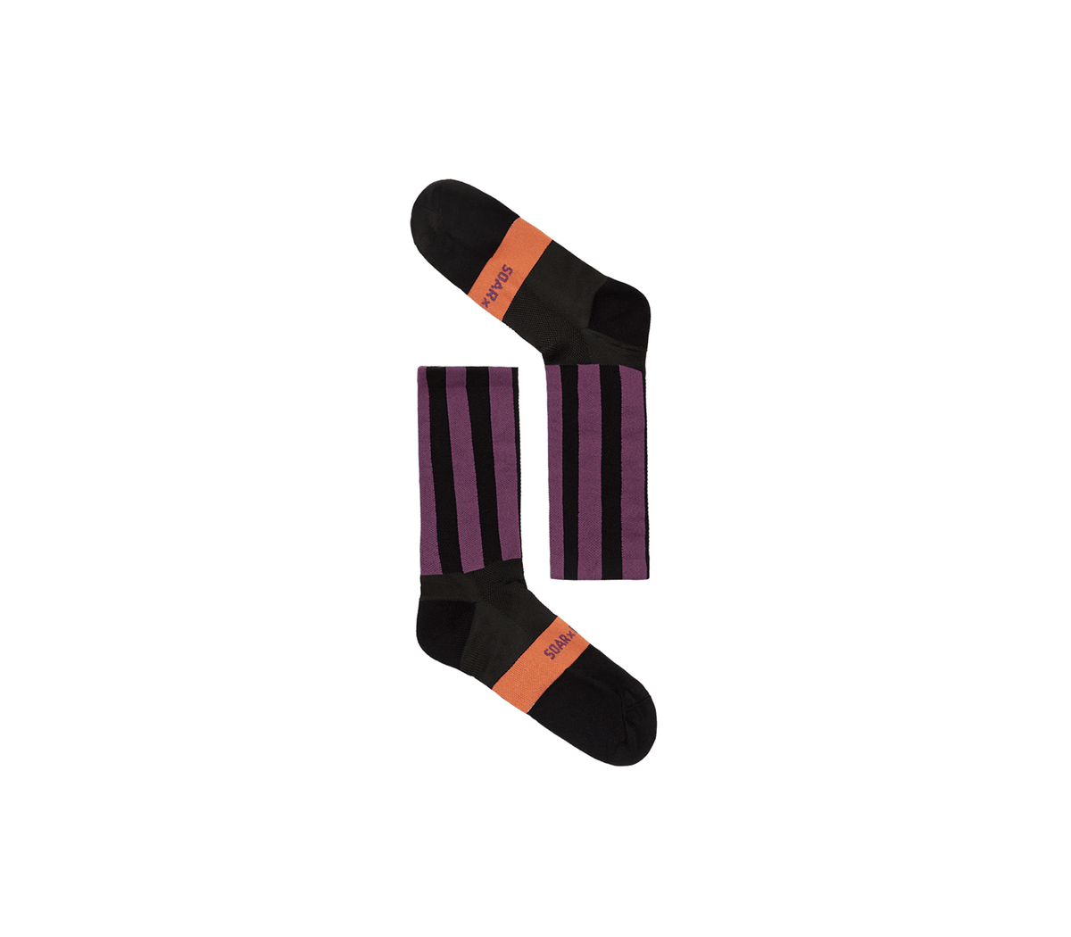 條紋圓領襪 |黑紫色